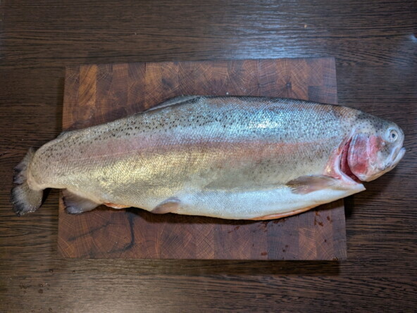 �� ���� �������� ������� ����� ������