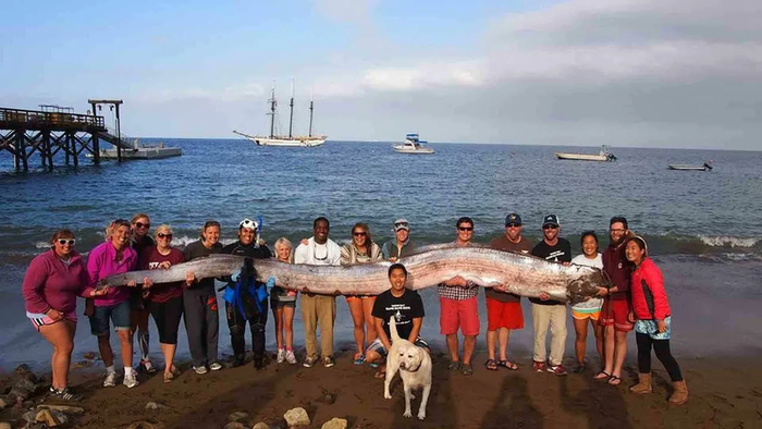          . -     "  ",              .