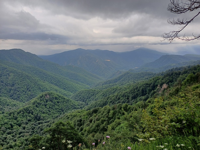 Ну красота же?