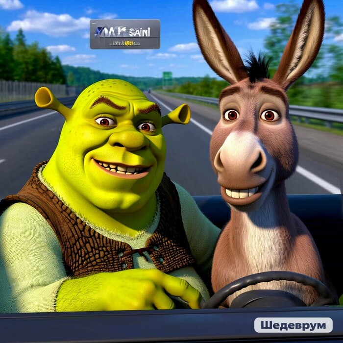 , ,    , , , ,   ,  (),  ,  (), Instasamka