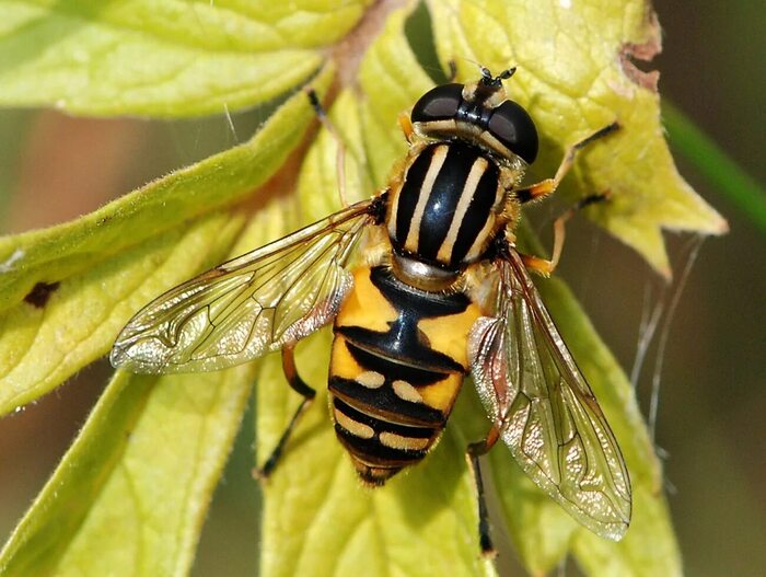 ����-��������