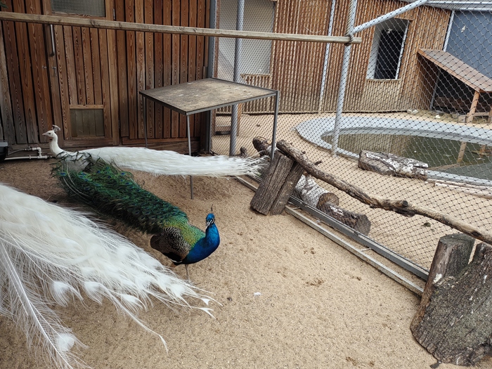 ����� �� ���� ���������� ��������, ������� ��������� ����������� ��������