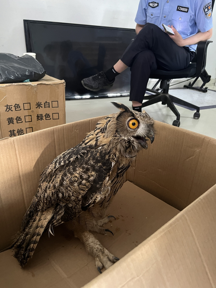 Стойте, я всё могу объяснить! Это была самооборона!