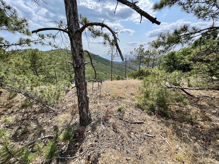 ��� � �����-���