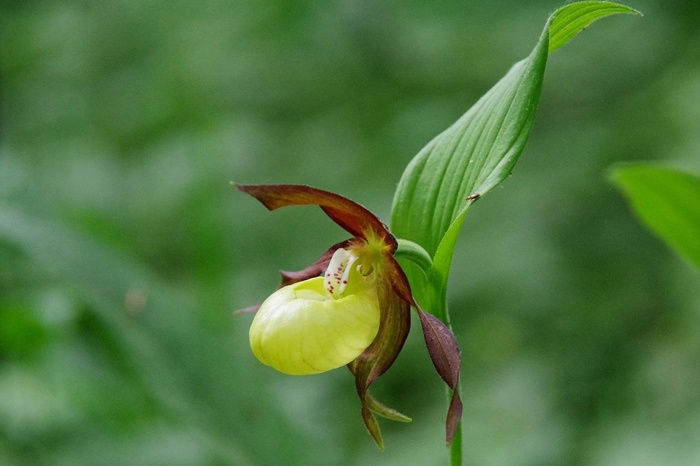 Фото О. Калининой.