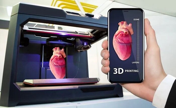   ,   3d-,     .      3D , , , , ,  , 