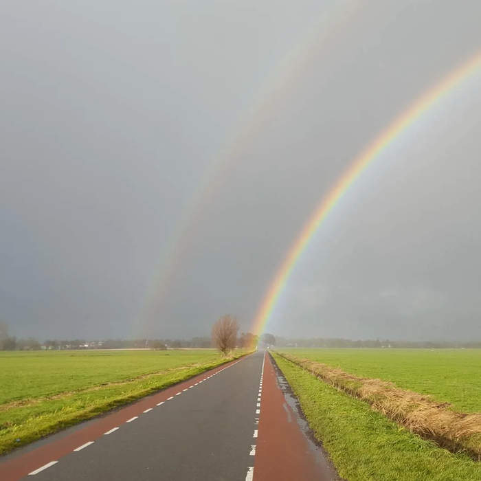 Rainbow