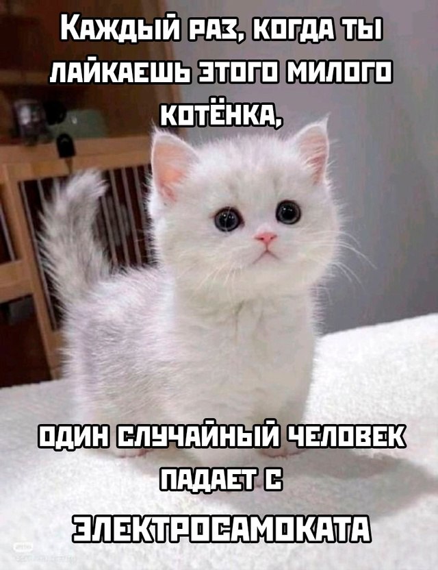    , , , , , ,  , ,   