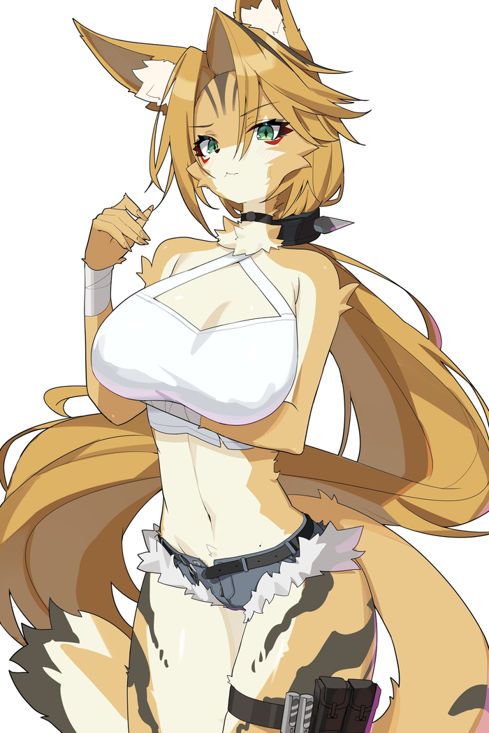 Pulchra , Anime Art, Animal Ears, Zenless Zone Zero, Pulchra (zzz)