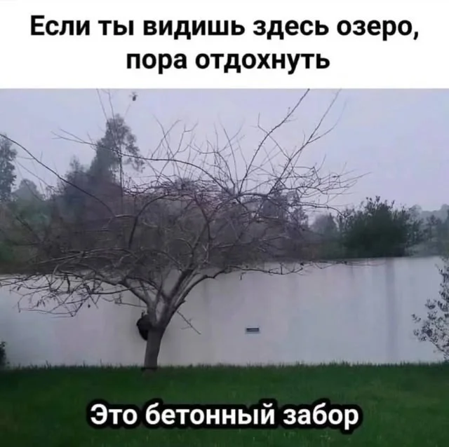 4kv2xiyo.webp