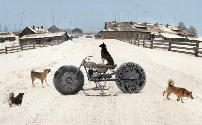 ��������: ������ �����������