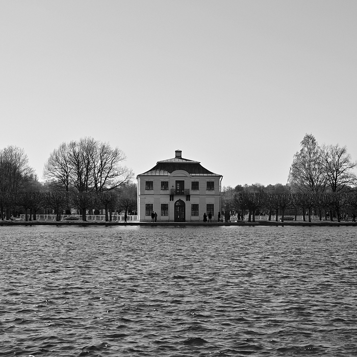 43 mm, f/7.1, 1/500, ISO 100