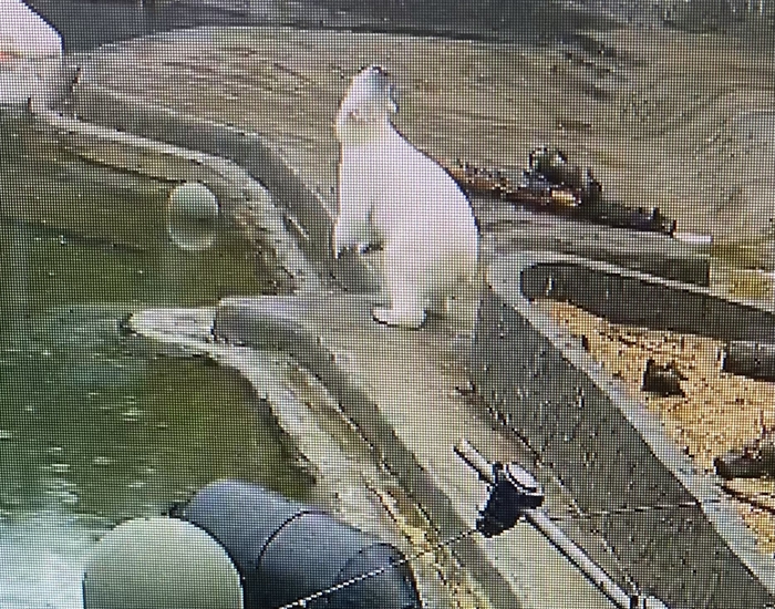   ? , ,  , ,  ,  