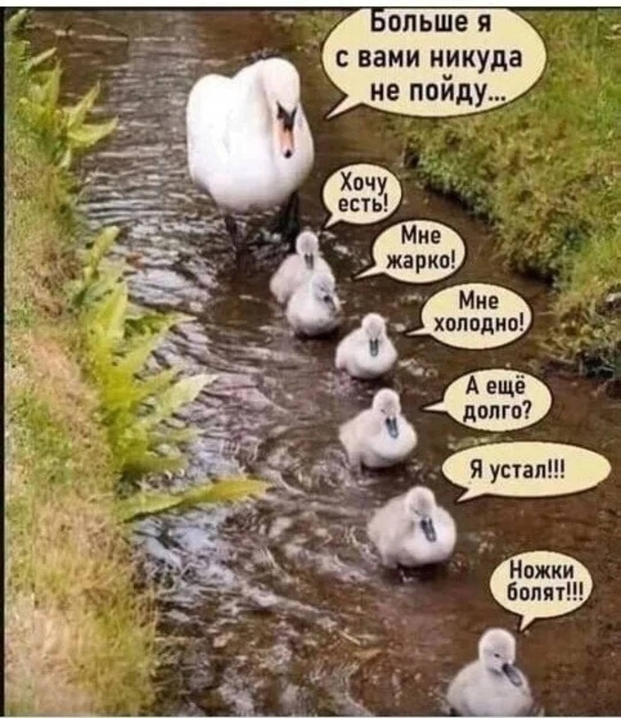 � ������, ����������� � ��������