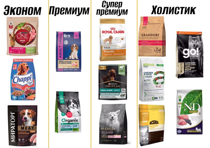   :    , ,  , , , , -, ,  ,   ,  , , 