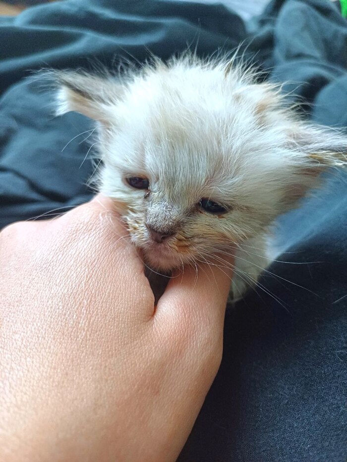 ��� ��������� ������� ���������...