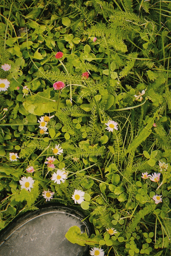 немного даже пружинит