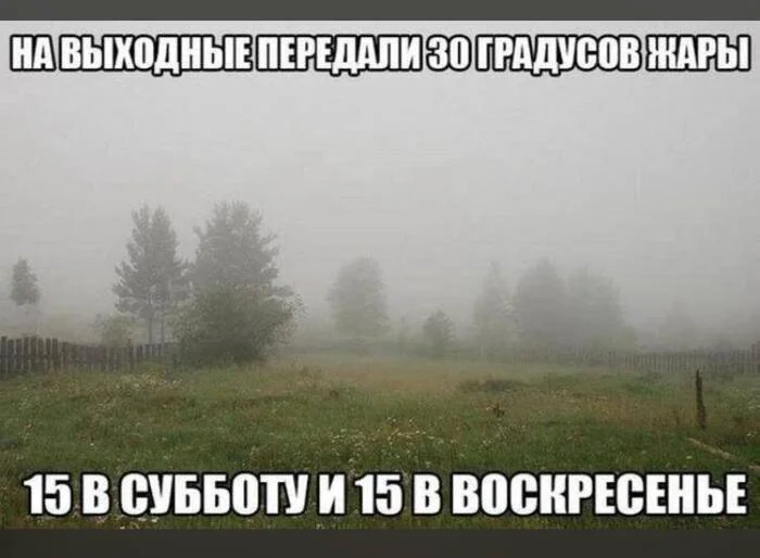 aj62wups.webp