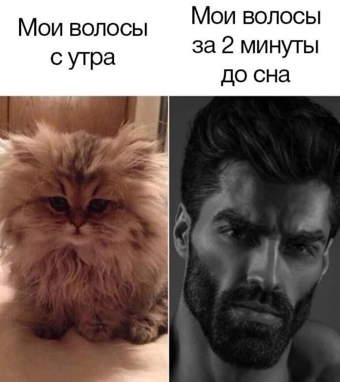    ! ,   , , , ,  
