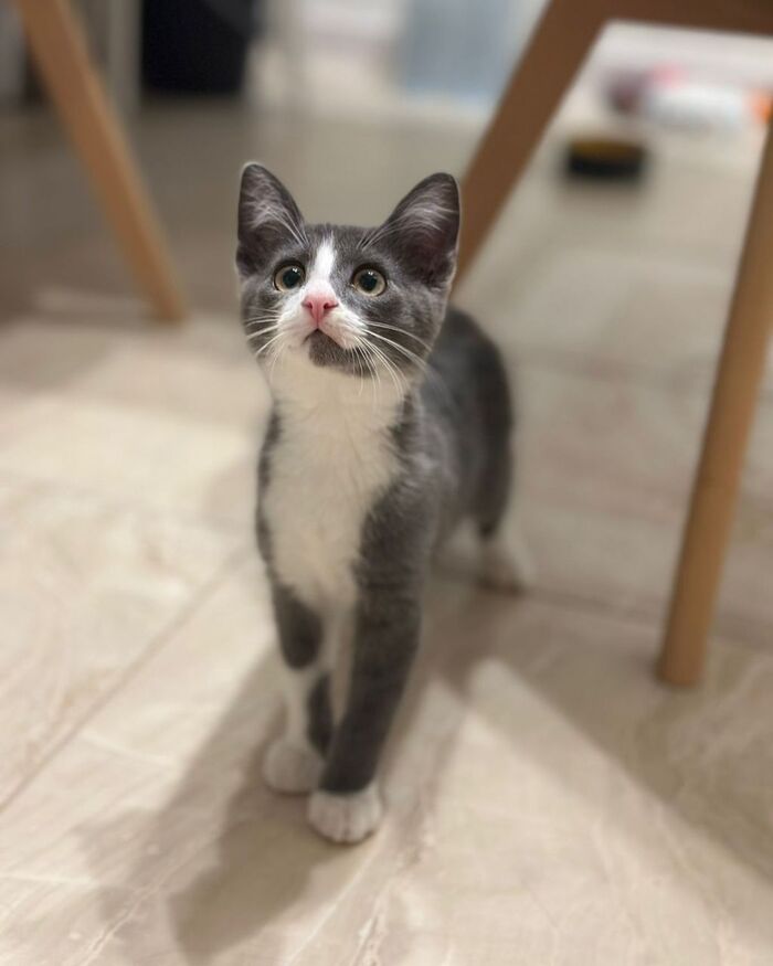        ! ,  , ,   ,  ,  , ,  , ,  , ,   ,  ,  , ,  , 
