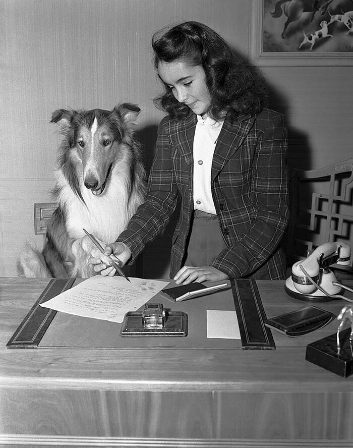       , 1943   ,   , , , , , , - 
