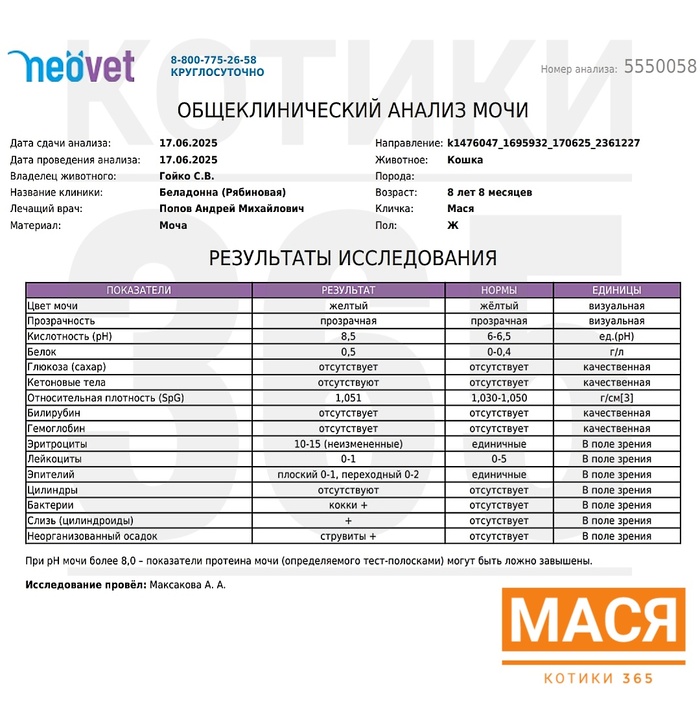  17.06.2025 , , , ,  , 