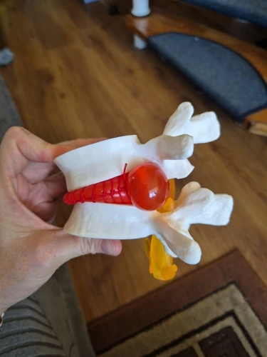    ,  , , , , 