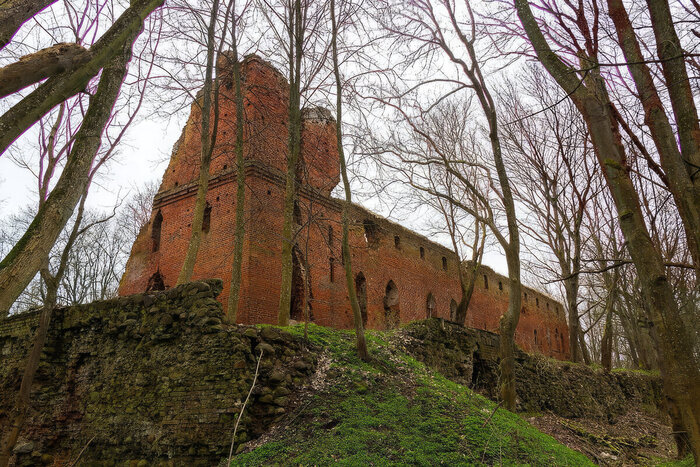 � TRAVEL 24 PRO. ����� ����� ������, ��������������� �������