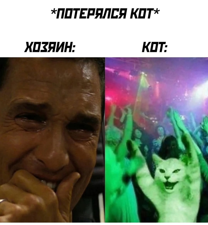     , , ,  , , , , ,   ,  (), , , ,   , , , 