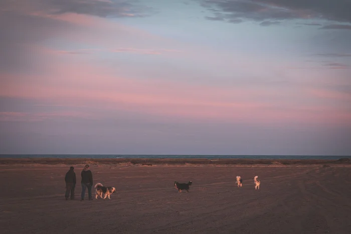 Если вы никогда не были на рыбалке Истории из жизни, Рыбалка, Кольский полуостров, Авторский рассказ, Проза, Рыбаки, Длиннопост