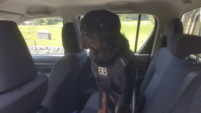 � ������ ��� ������������� ������ ����������, ��� ���� �������.