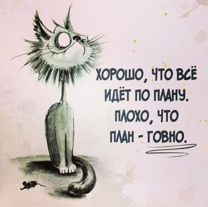  :    ,  , , ,  , , ,  ,  , 
