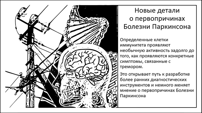 Еще один фрагмент паззла в первопричинах и маркерах болезни Паркинсона