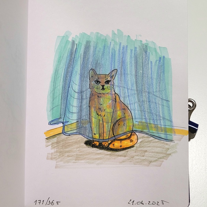   . 171/365 , , , 