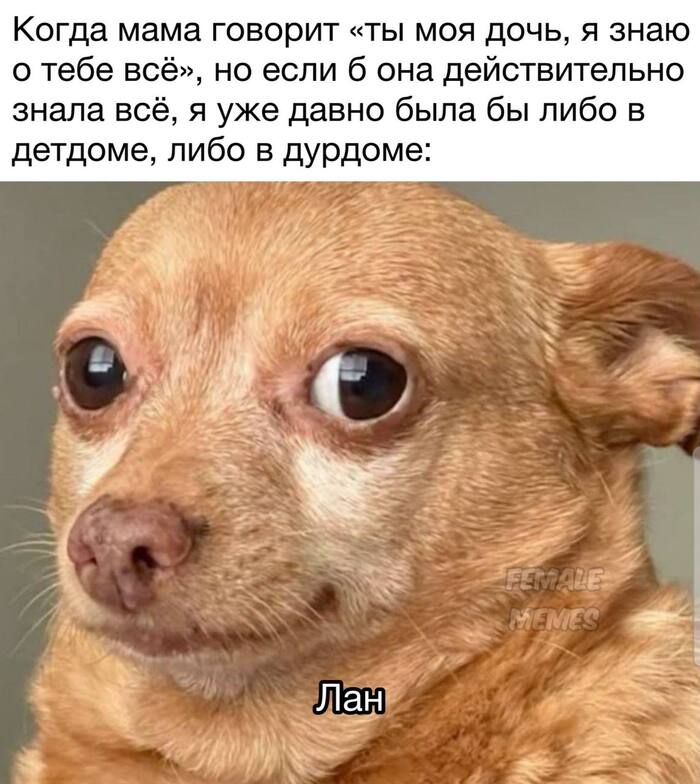    , ,   ,   