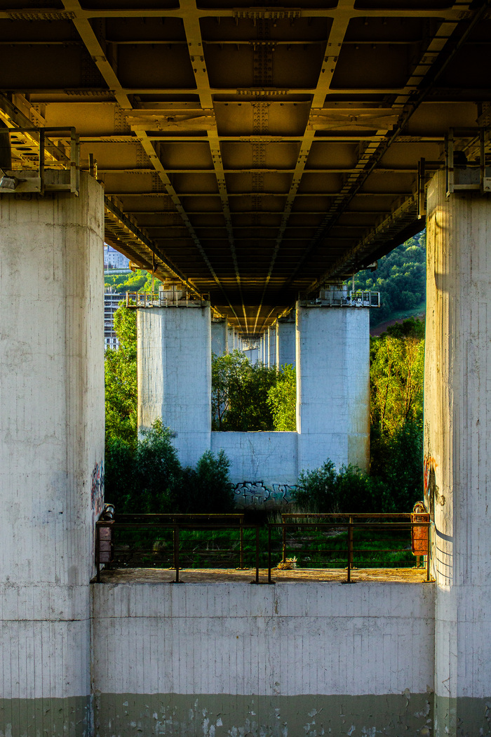   13      ,   . ,    ,  , Canon,   , , , 