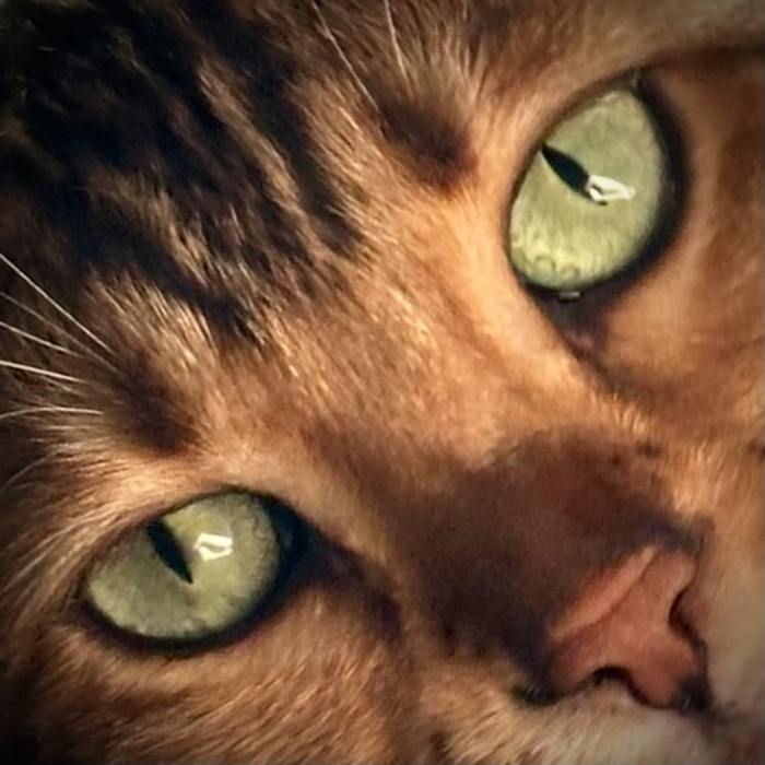 , , , ,  , , , 