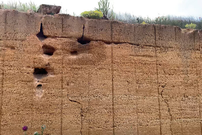 ���� ������ ������. ���������, ��� ������ ����������.