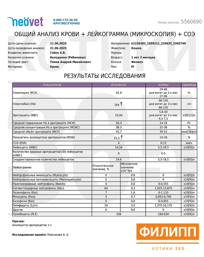  21.06.2025  , , , , , , 