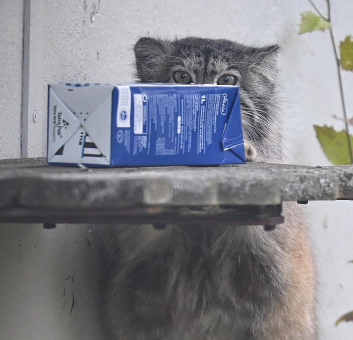 Что-то новенькое