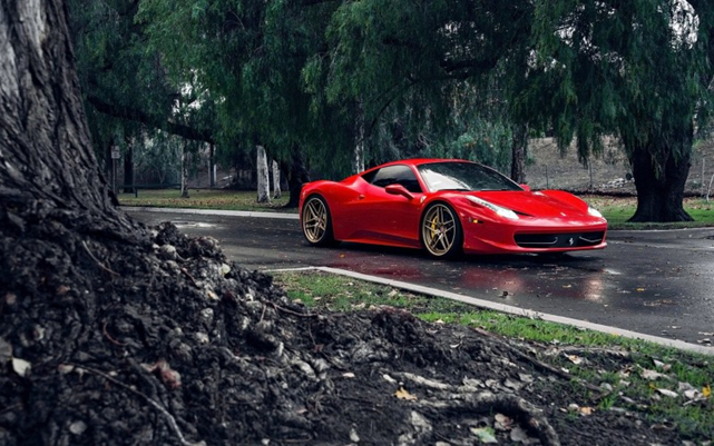    Ferrari, Porsche, Jaguar, , , , ,   , 