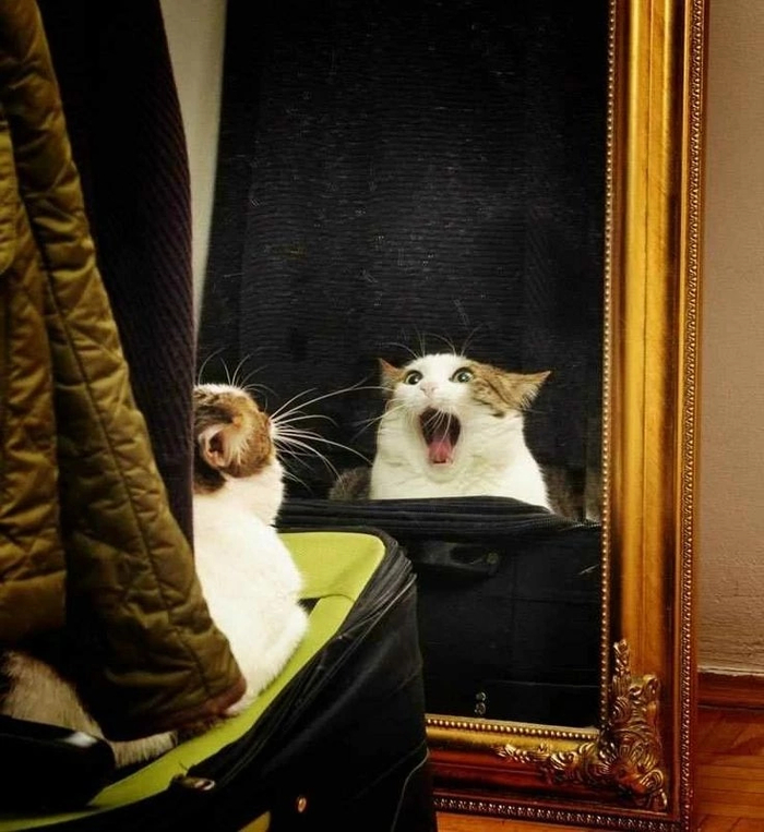 О боже, я такая старая!!!