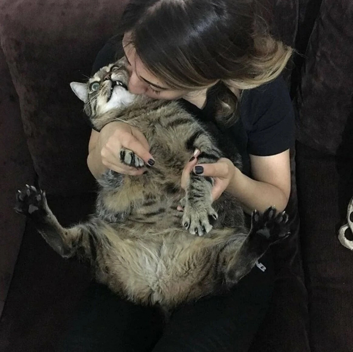 Отвали Наташ пока не поздно. Я не шучу. По морде видно.