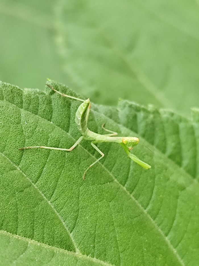 ����� �������� ��������� � ����� :)