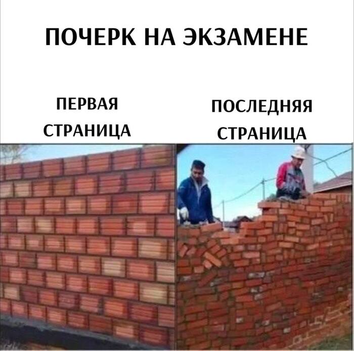    ,   , ,  , , Telegram ()