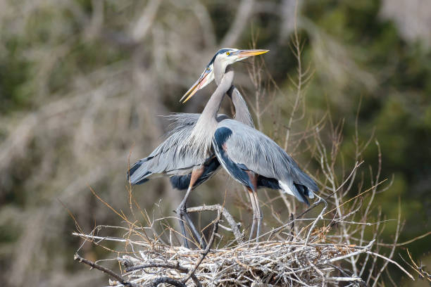 Наши отношения очень запутаные!