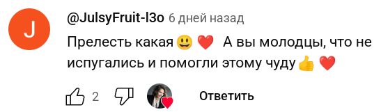    ""   ,  ,   , , , , , , YouTube, 