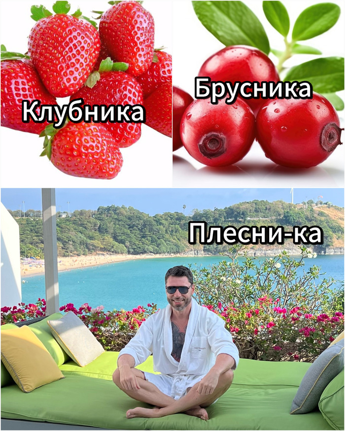  -  , , , , ,  , 