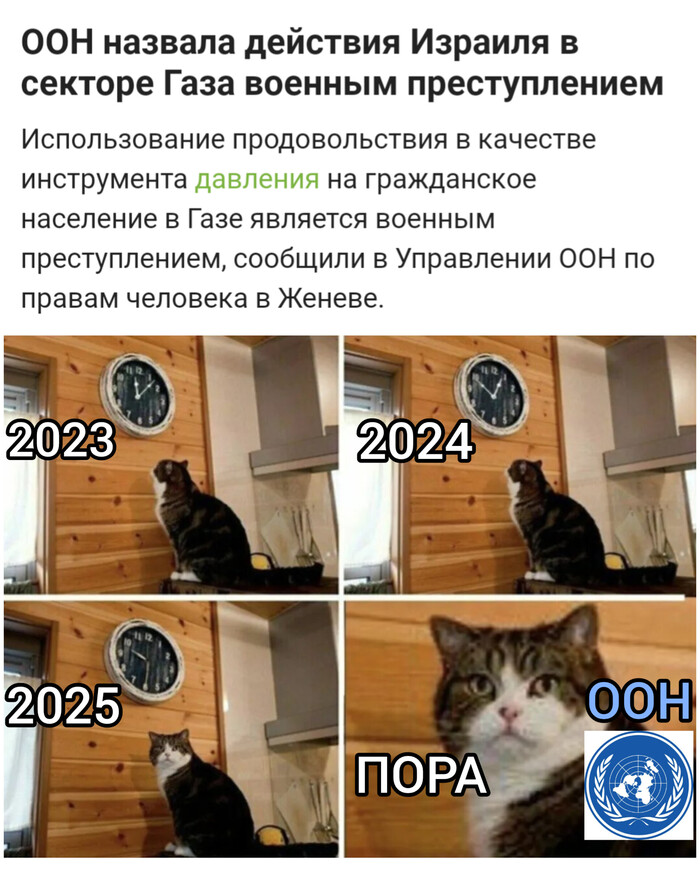             , ,   (), , ,   ,  ,  