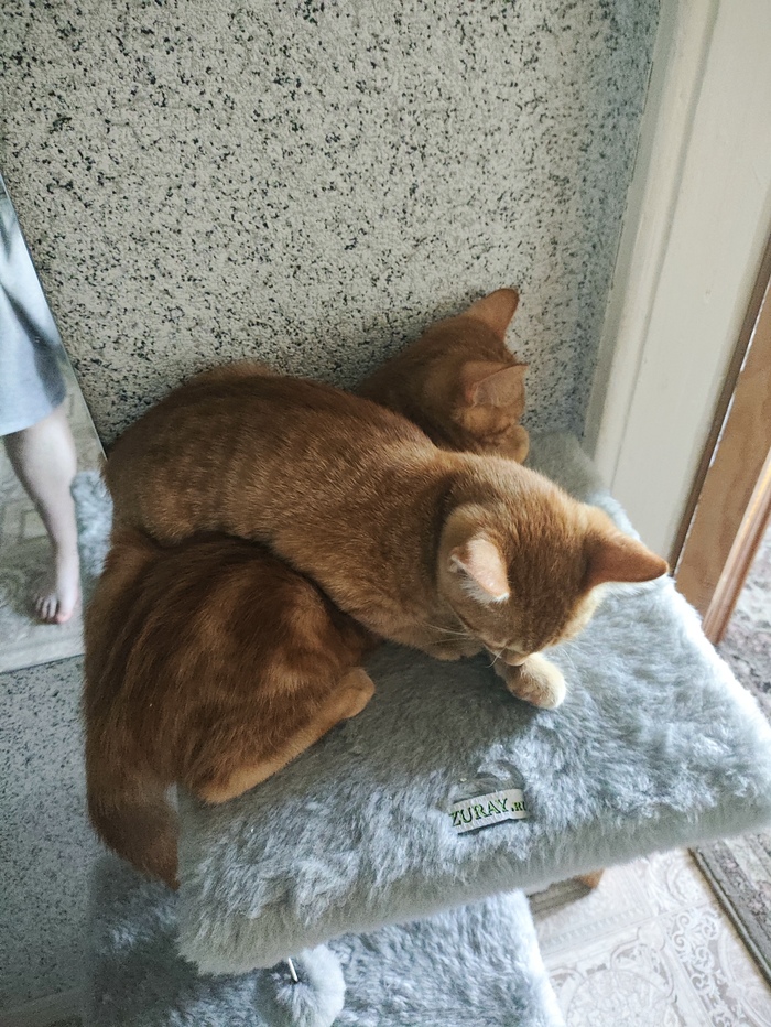        , , , , , , , 